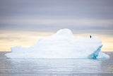 Iceberg en aguas tranquilas