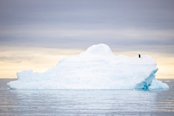 Iceberg en aguas tranquilas