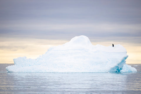 Iceberg en aguas tranquilas